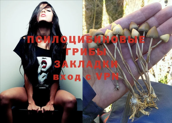 альфа пвп Баксан