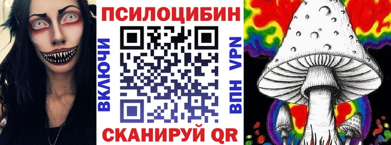 Галлюциногенные грибы Psilocybe Нестеров